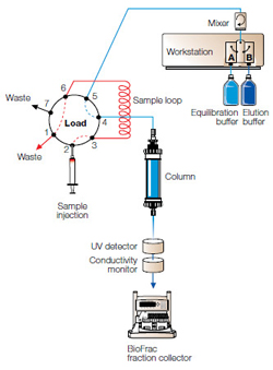 Preparative Chromatography