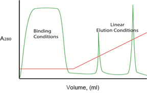 Example chromatogram showing a linear gradient elution.