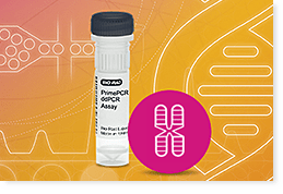 Droplet Digital PCR Copy Number Assays